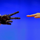Illustration for article titled Robot Skin Is On The Way